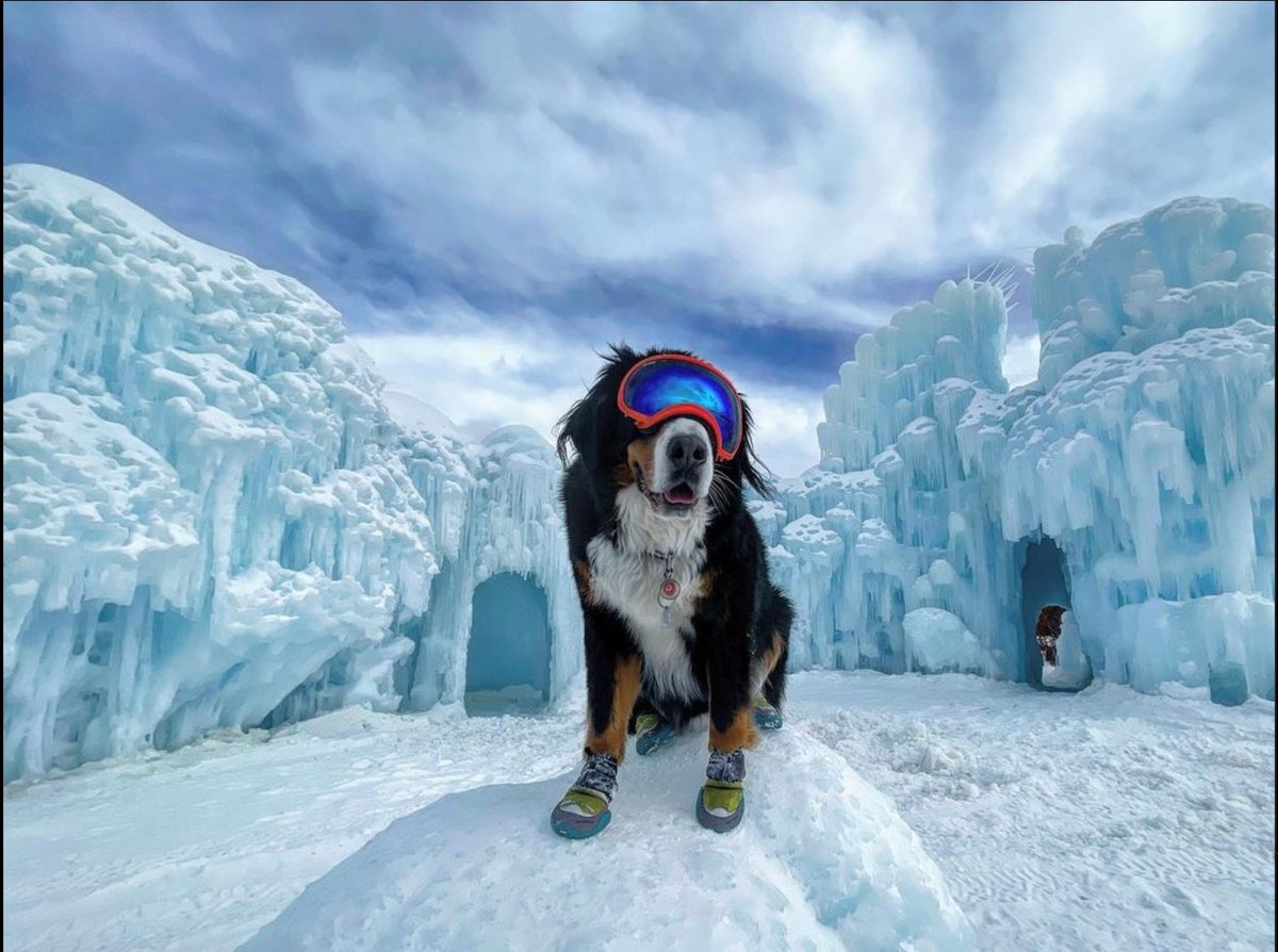 Ice Castles