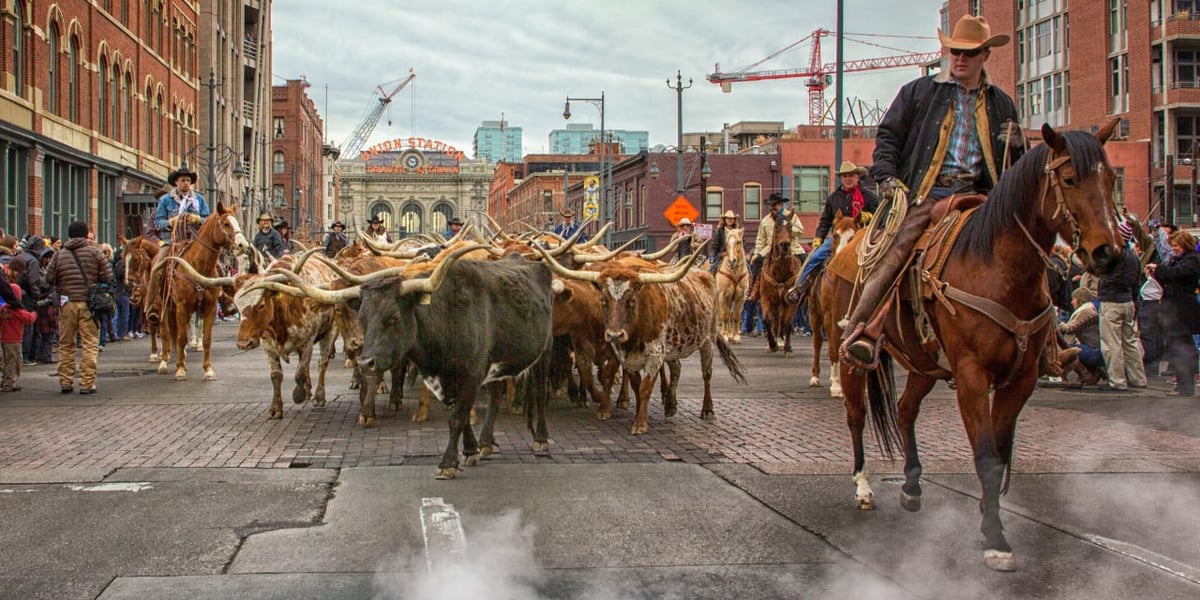 National-Western-Stock-Show-Parade-1280x640