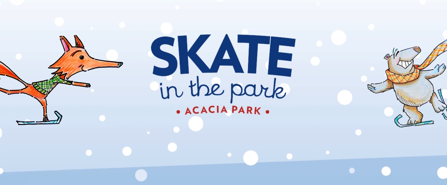 Skate in the Park