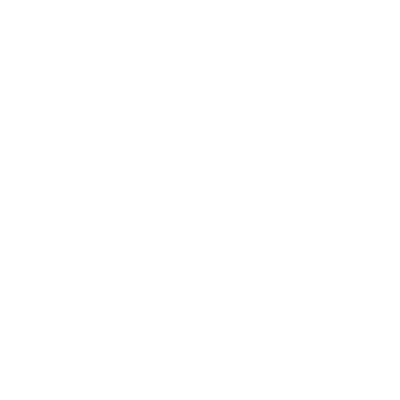 Twitter social icons - circle - white
